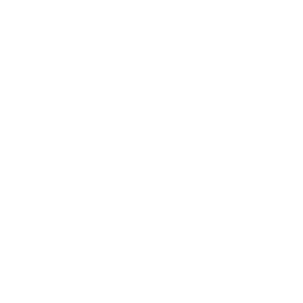 OR Logo White on White